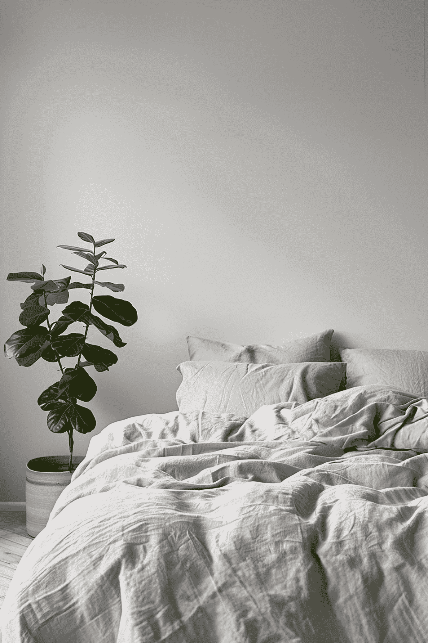 Housse de couette et 2 taies d'oreiller en lin gris clair